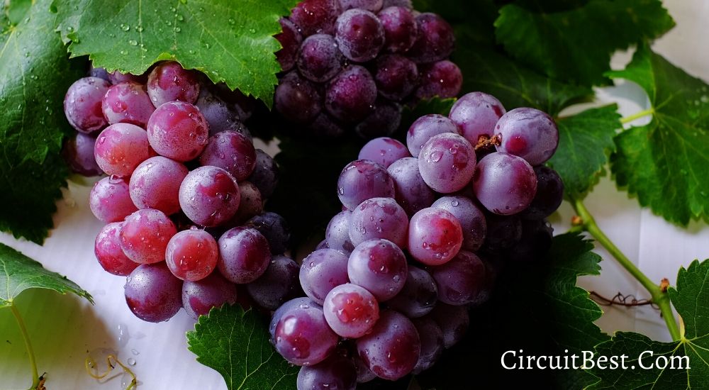 Eat Grapes Every Day for 2 Months and Here’s What Happens